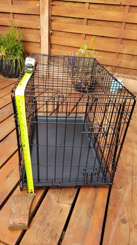 Folding metal dog crate - dog,