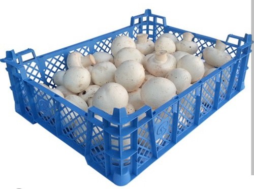 1 to 10 plastic - 10,
