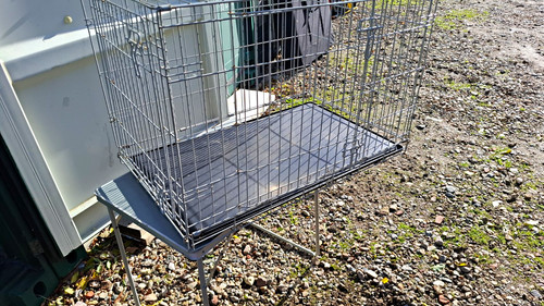 Folding steel wire dog - steel,