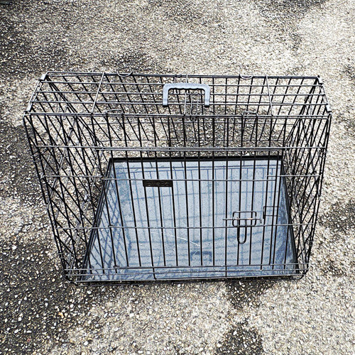 Steel wire standard dog - wire, crate