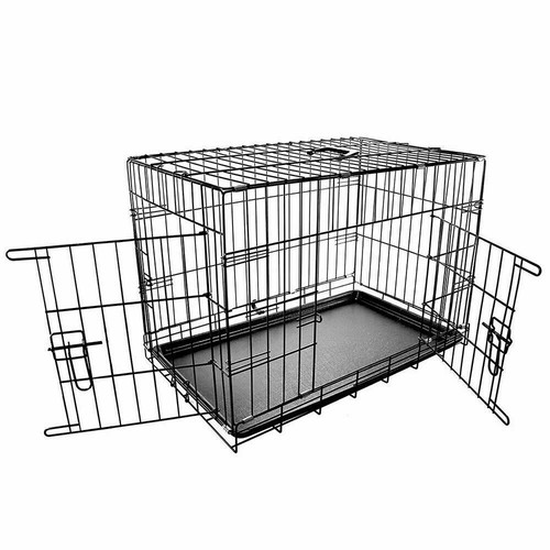 Dog pet training - pet,