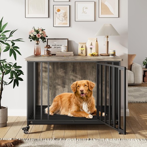 Dog cage pet - dog,