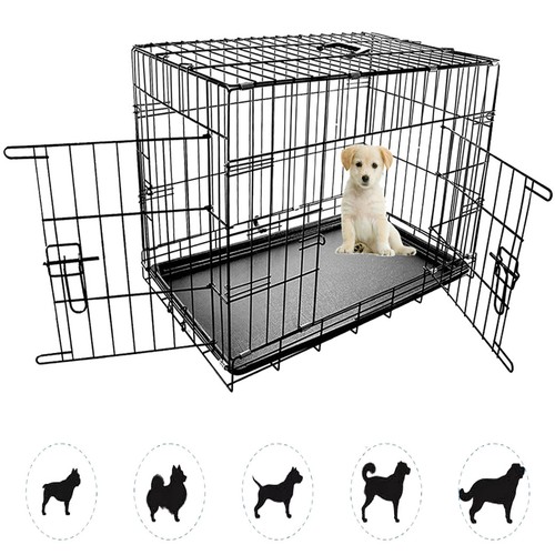 Dog pet training - pet, transport
