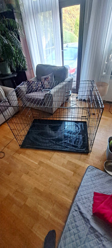 Folding metal wire dog - folding,
